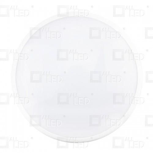 20W LED bulk head 4000k vandalproof