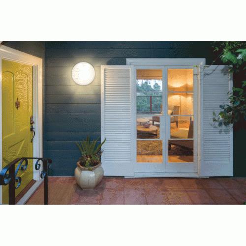 20W LED bulk head 4000k vandalproof