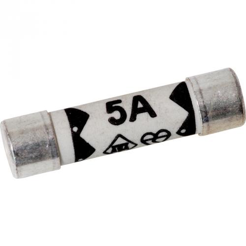 5 Amp plug top fuse