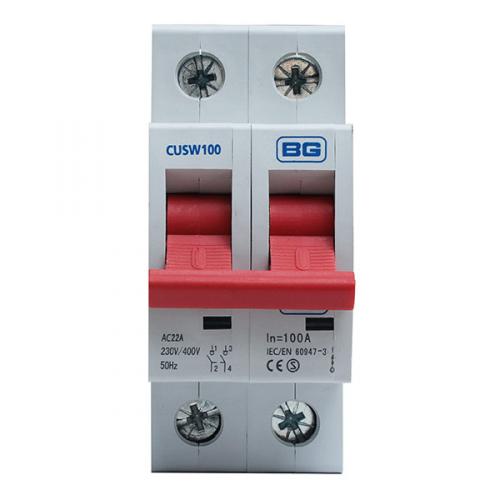 BG MAIN SWITCH 100A DP