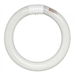 22W circ.tube cool white