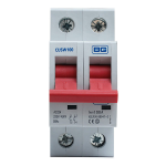 BG MAIN SWITCH 100A DP